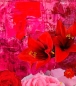 Preview: Detailansicht Kunstdruck Pink Flowers