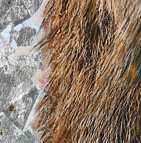 Preview: Detailansicht Hirsch