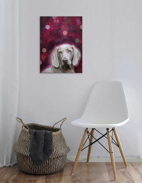 Wohnbeispiel Weimaraner