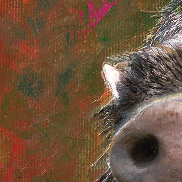 Detailansicht Kunstdruck Wildschwein