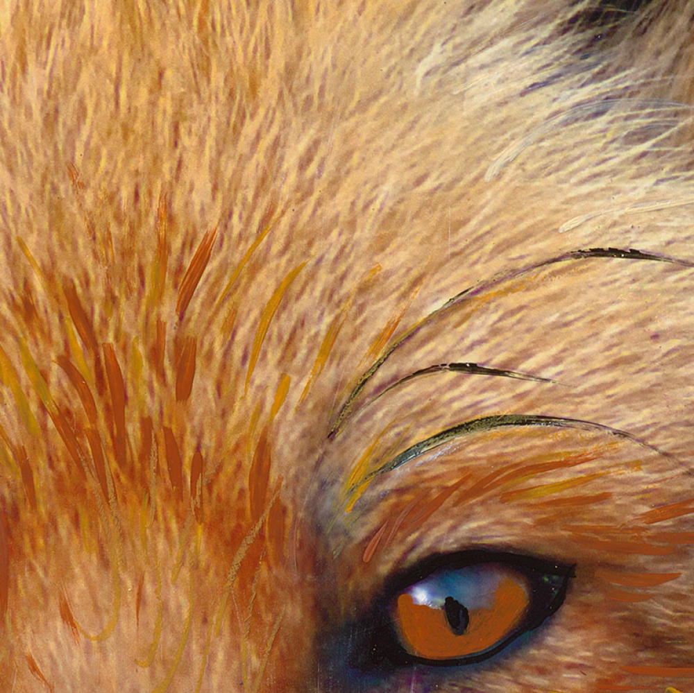 Detailansicht Kunstdruck Fuchs