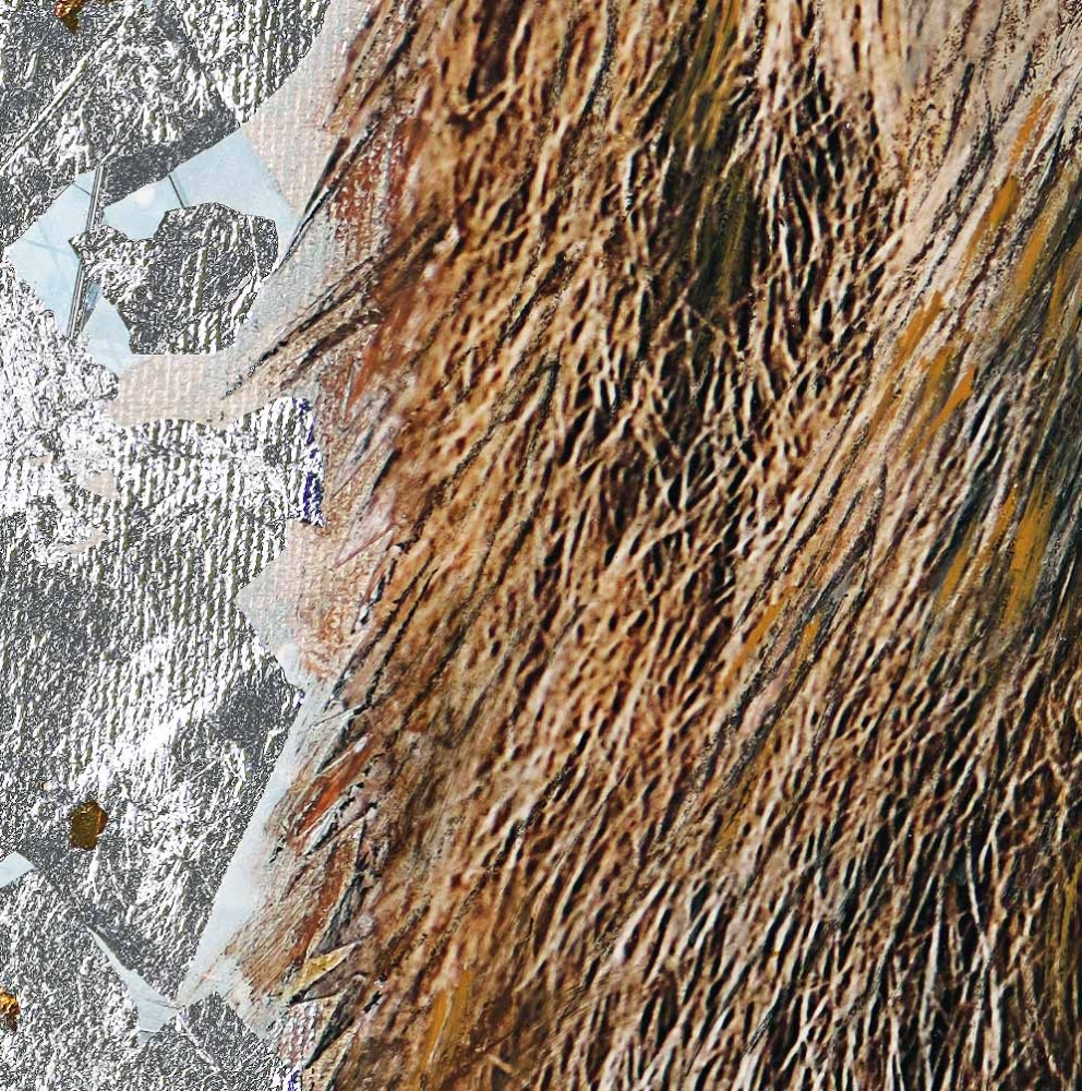 Detailansicht Hirsch