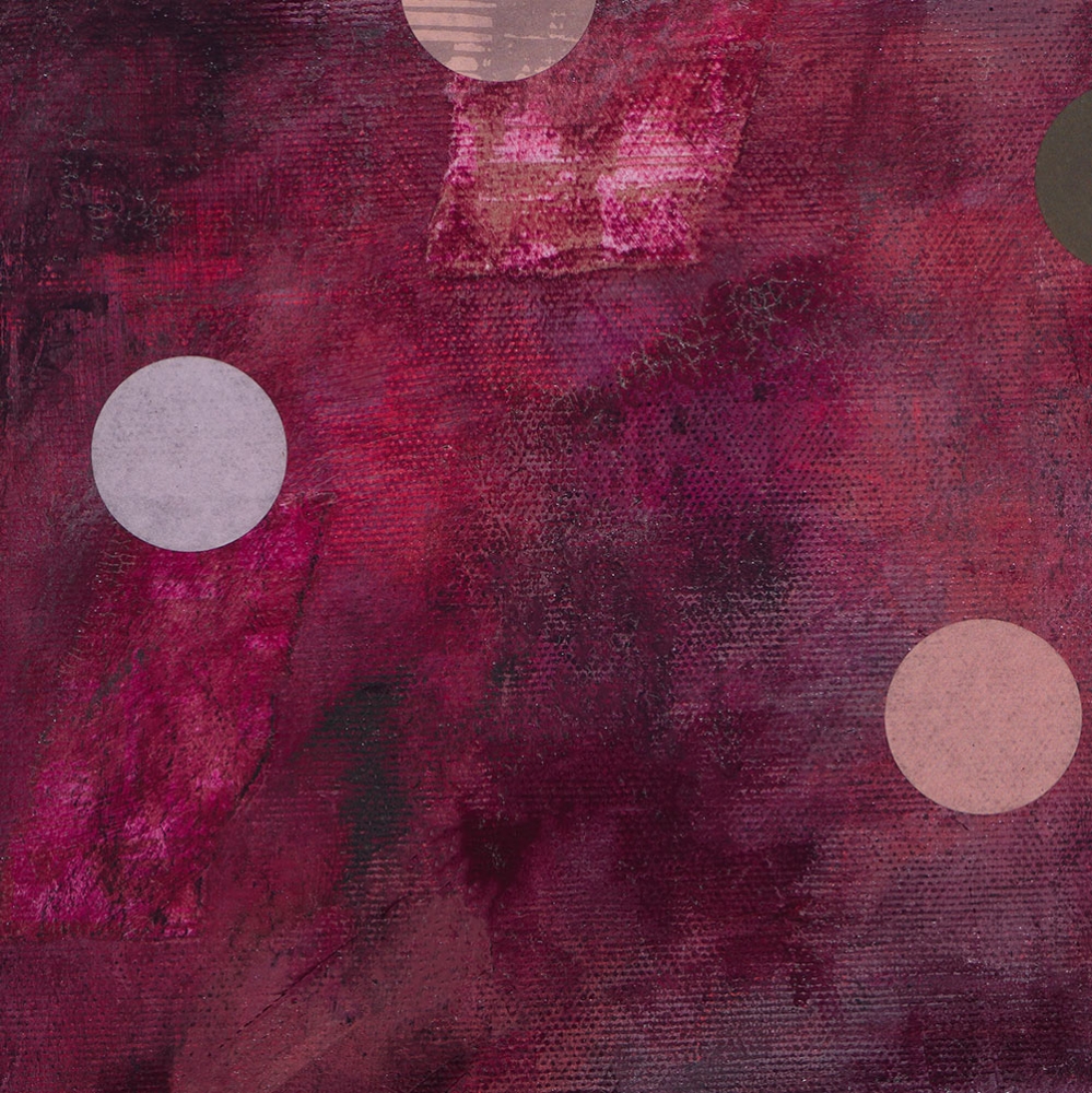 Detailansicht Weimaraner