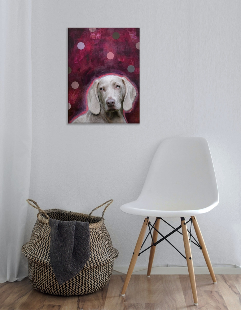 Wohnbeispiel Weimaraner